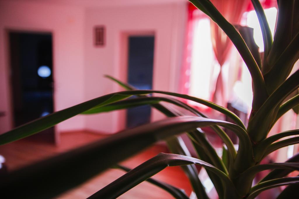 Villa Grande Iasi Kamer foto